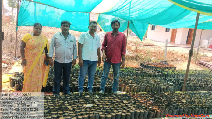 Padampalli Sarpanch inspects the nursery