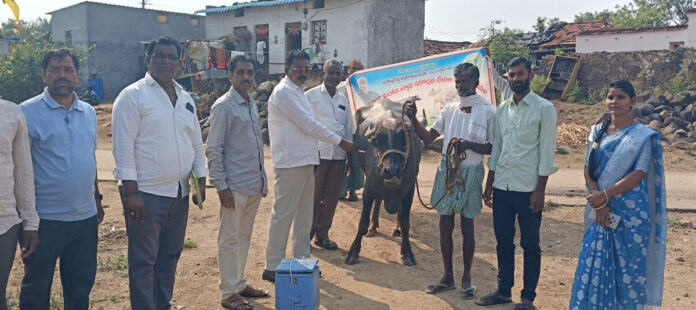 Longan Sarpanch participates in the pertussis vaccination program