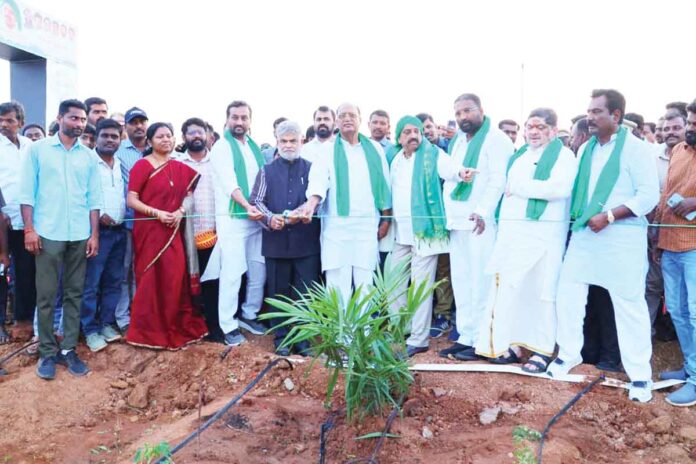 A State-of-the-Art Oil Refinery Unit in Narmetta