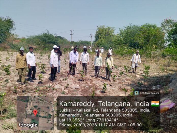 మండలంలోని పలు గ్రామాలలో ఫ్రైడే – డ్రైడే కార్యక్రమం నిర్వహణ