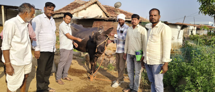 గాలికుంటు వ్యాధి చికిత్స శిబిరాన్ని ప్రారంభించిన సర్పంచ్