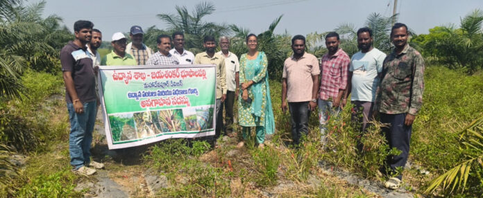 Farmers benefit from crop rotation!