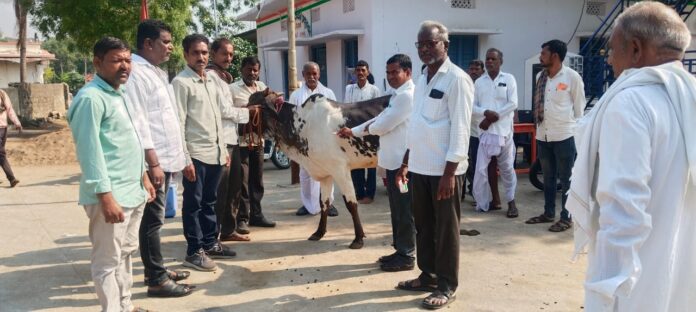 గాలికుంటు వ్యాధి వ్యాక్సిన్ శిబిరాన్ని ప్రారంభించిన గ్రామ సర్పంచ్