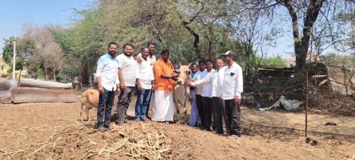 గోశాల ఎరువుకు వేలంపాట