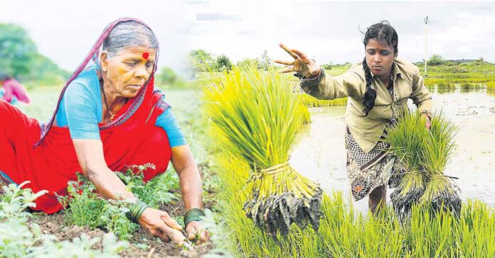 She lacks recognition