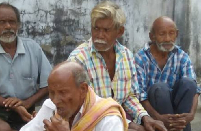 కొత్త పింఛన్లకు మోక్షం!