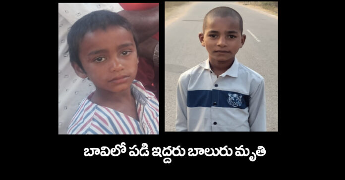 Two boys die after falling into well