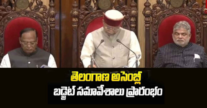 2047 తెలంగాణ రైజింగ్ దిశగా అడుగులు: గవర్నర్