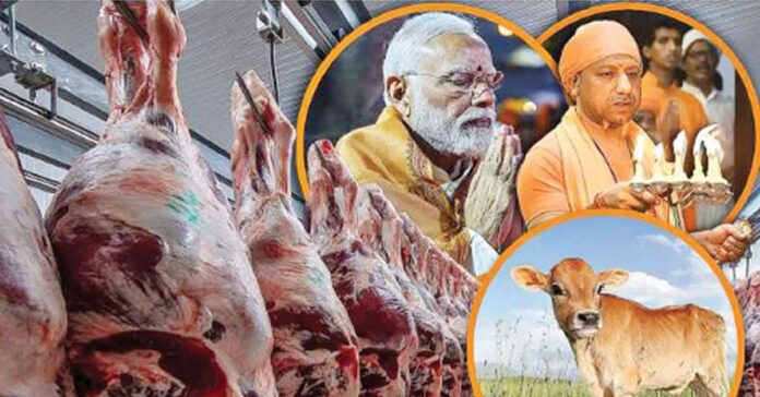 పెరిగిన మాంసం ఎగుమతులు