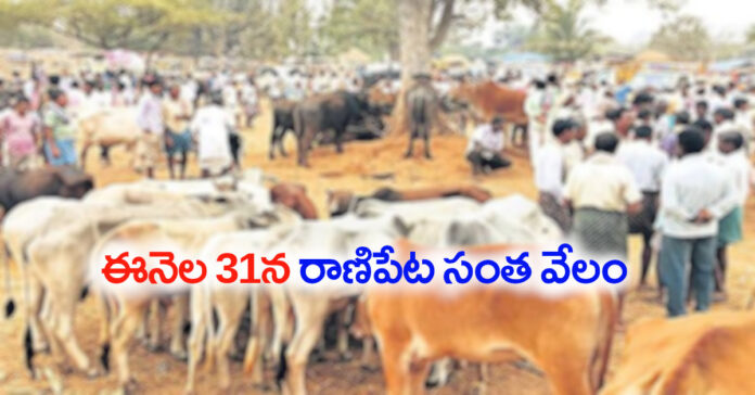 ఈనెల 31న రాణిపేట సంత వేలం: కార్యదర్శి సుదర్శన్