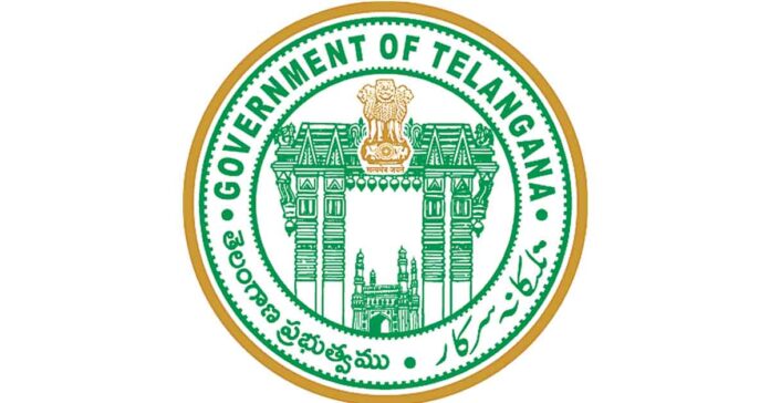 Establishment of a third electricity distribution company