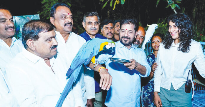 We will clean the mousse.