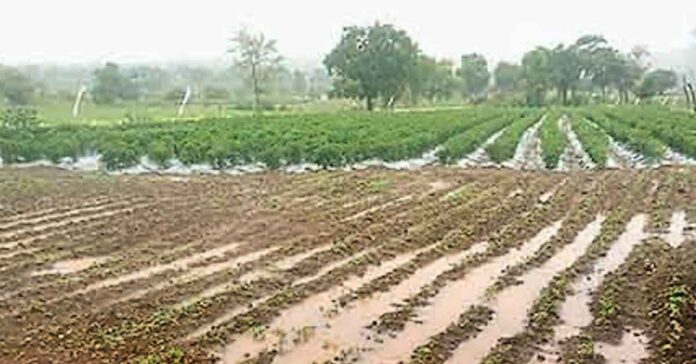 Affected farmers should be given ₹25,000 per acre.