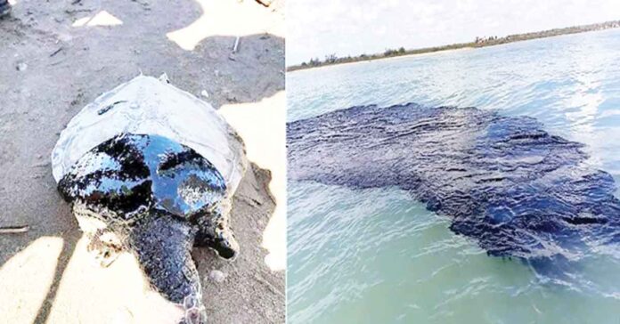 Massive Oil Slick in the Ocean