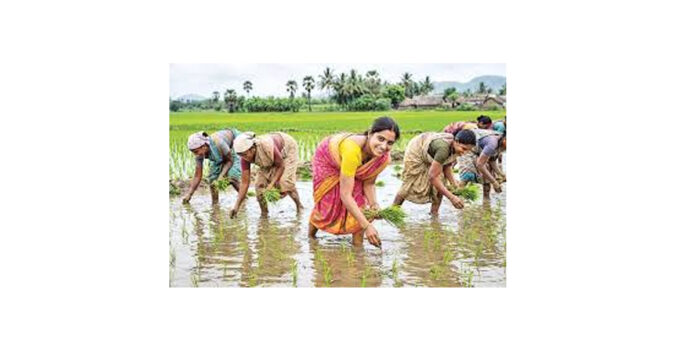 31న రామన్నపేటలో ‘మహిళా రైతుల రాష్ట్ర సదస్సు’