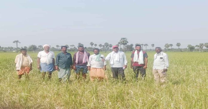 Compensation of Rs 30,000 should be paid for each acre.