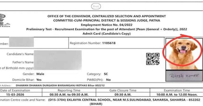 Dog's photo on the admit card