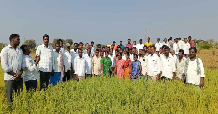 Farmers should be given immediate compensation: Brs