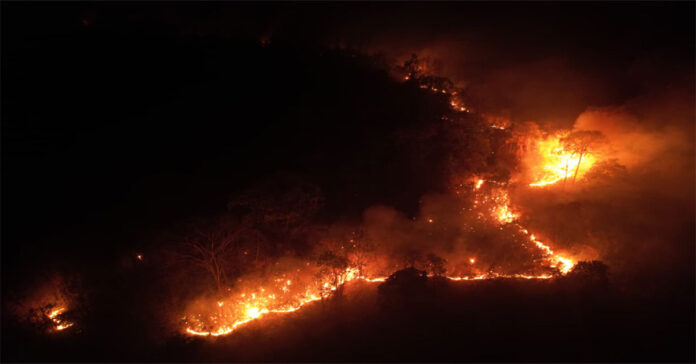 Fires in Arunachal Pradesh forests..