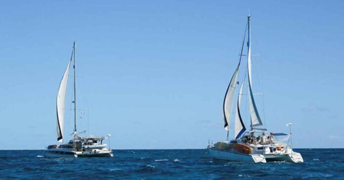 In the waters of the Caribbean