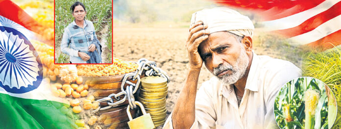 మక్క రైతు బిక్కమొఖం