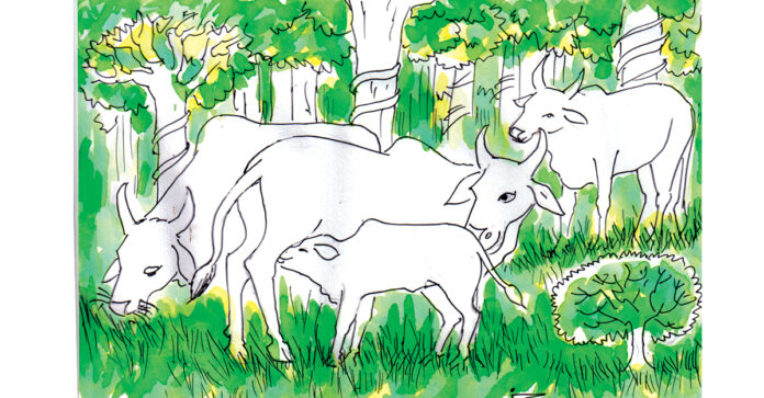 మన బాధ్యతలను మనమే నిర్వర్తించాలి