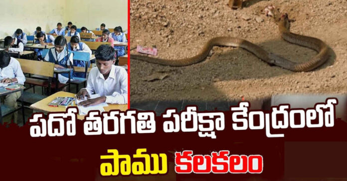 పది పరీక్షాకేంద్రం వద్ద పాము… భయాందోళనతో పరుగులు తీసిన విద్యార్థులు