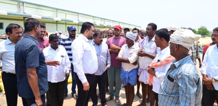 Corn procurement should be conducted transparently: Collector