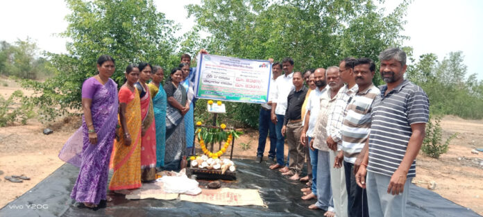 వరి ధాన్యం కొనుగోలు కేంద్రం ప్రారంభం