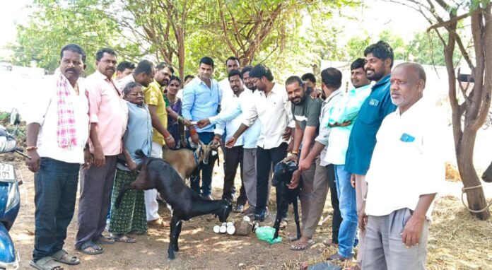పశువుల అంగడి(సంత) ను ప్రారంభించిన సర్పంచ్