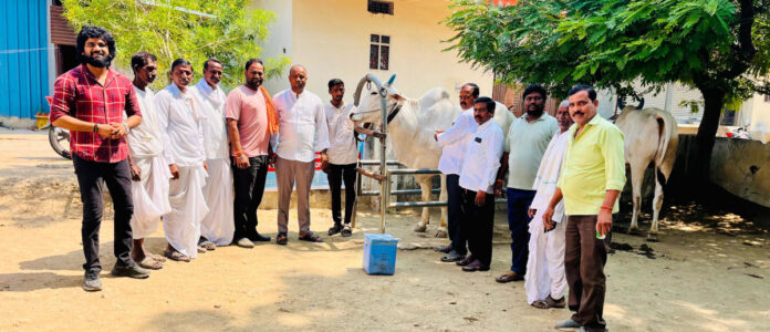 పశువులకు గాలి కుంటు టీకాల పంపిణీ