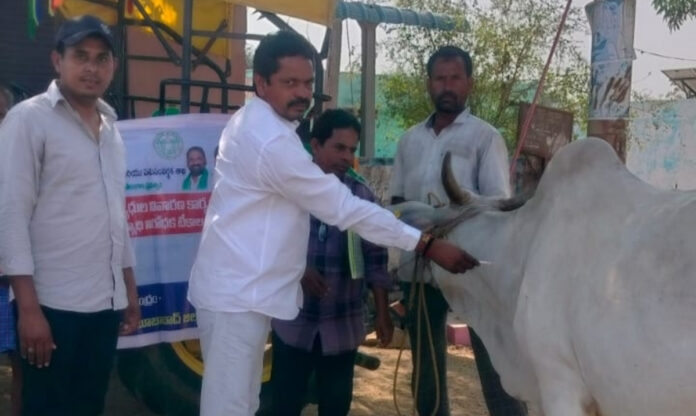 Livestock should be protected.