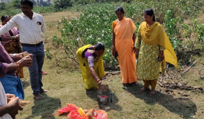 Take advantage of employment opportunities