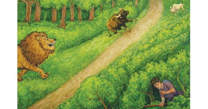 మూగజీవాలపై ప్రేమ