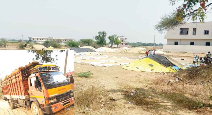 The Plight of Farmers