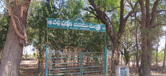 Small rural nature forests