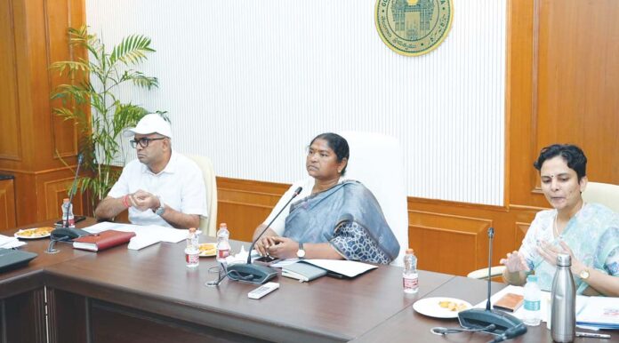 పెసా చట్టం అమలుకు పకడ్బందీ చర్యలు