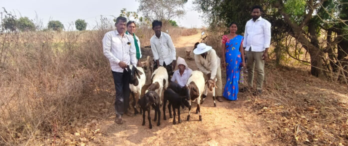 ఆత్మహత్యకు పాల్పడిన కౌలు రైతులను ప్రభుత్వం ఆదుకోవాలి