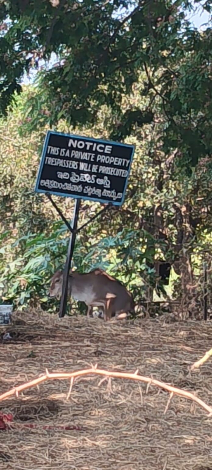 స్మశాన వాటిక కబ్జాపై చర్యలు తీసుకోవాలని కలెక్టర్ కు వినతి….