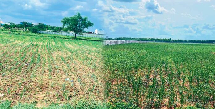 అభయ హస్తం ఎప్పుడు..?