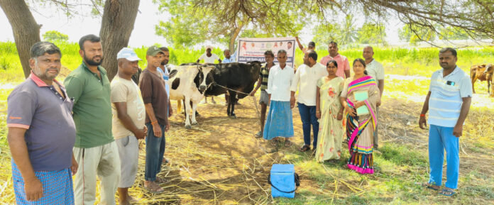 Distribution of vaccines to cattle in Narsampally..