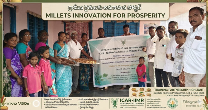 High profits through small grains