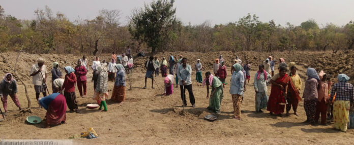 అడవుల సంరక్షణపై అవగాహన