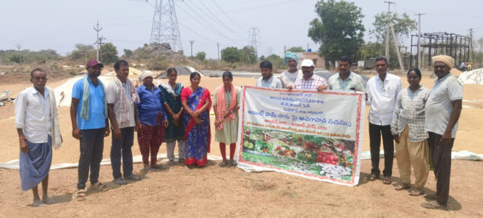 Awareness on oil farm cultivation for new farmers