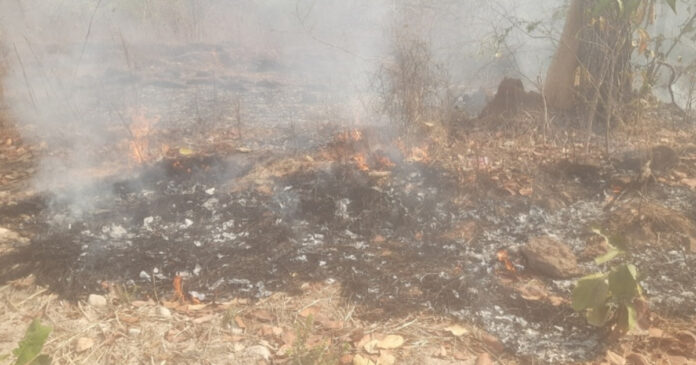 Fire breaks out in Kapuram forests!