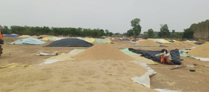 ధాన్యం సేకరణకు ఏర్పాట్లు.!