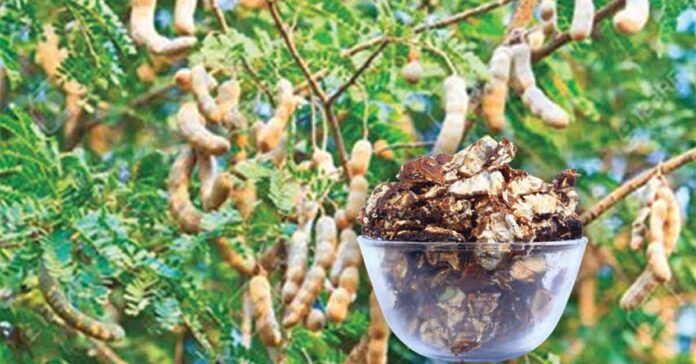 గ్రామీణ ఆవిష్కరణకు నూతన రూపం