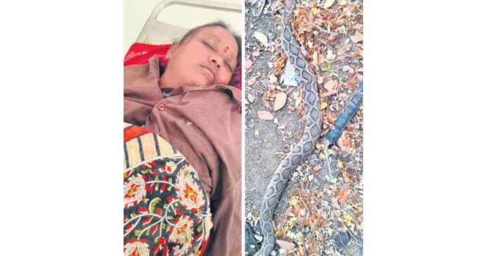 Woman dies after being bitten by a snake.