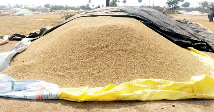 Waiting for Grain Procurement