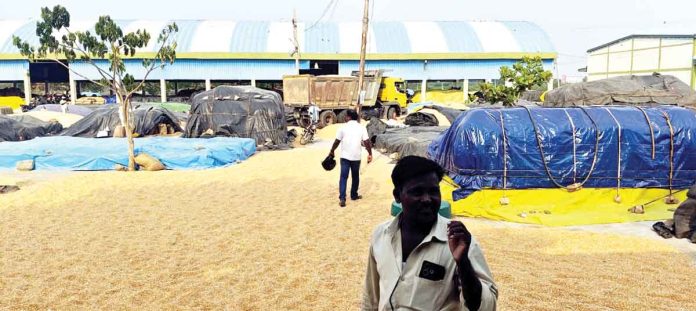 The market roads are packed with maize